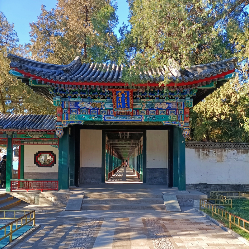 对称之美
