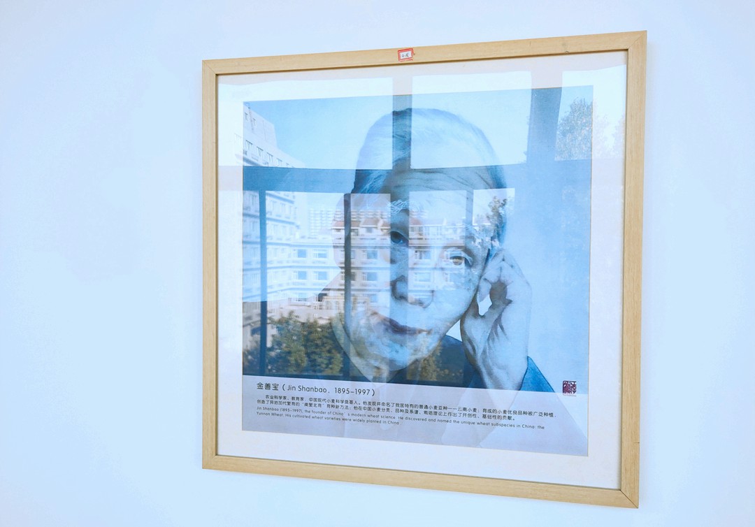金善宝先生与农科院的相望 正是农科人与未来的展望