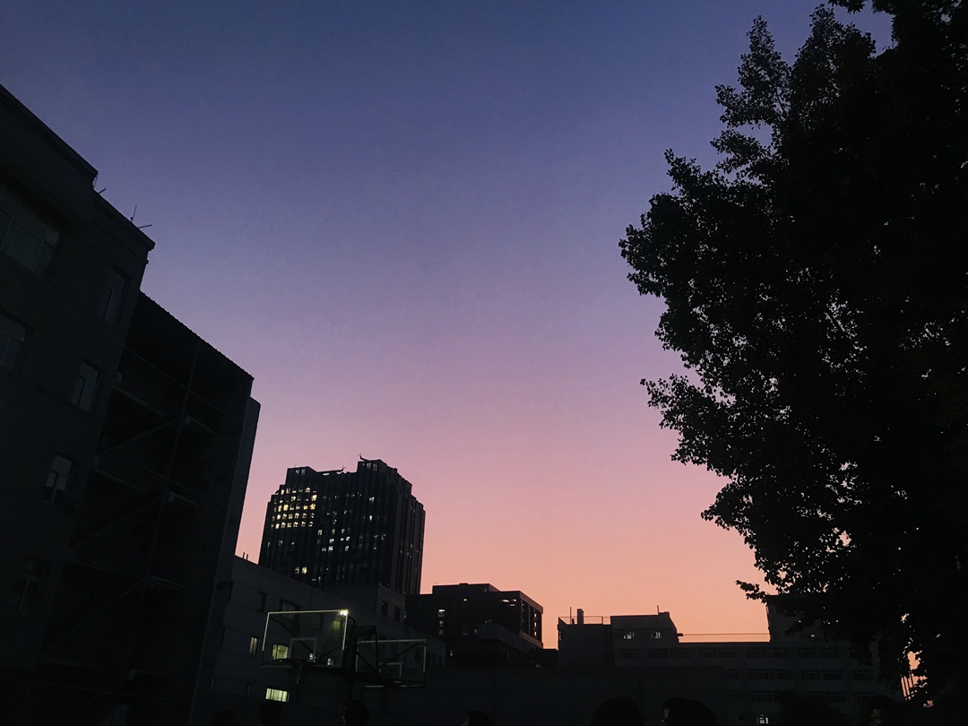 农科十二时辰